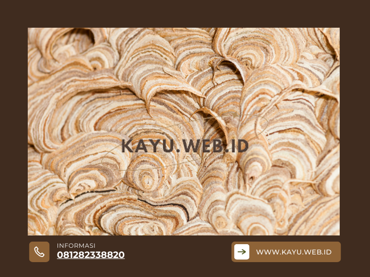Kayu Bengkirai vs. Kayu Kruing
